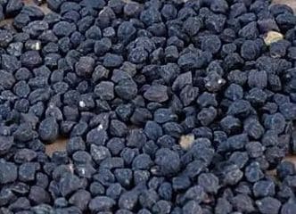 Afbeelding oogstperiode KIKKERERWT, “Roet in ‘t eten”
