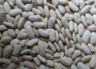 Afbeelding oogstperiode BOON, Witte van Vlaanderen